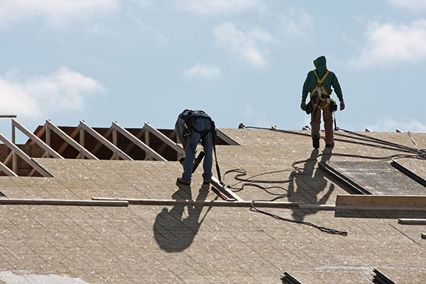 Professional Roofing Contractor